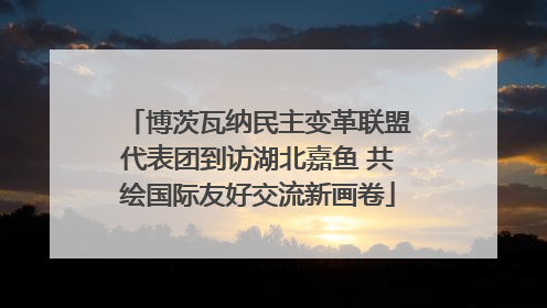 博茨瓦纳民主变革联盟代表团到访湖北嘉鱼 共绘国际友好交流新画卷