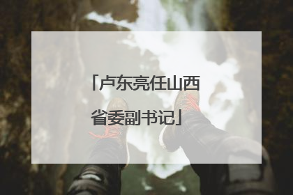 卢东亮任山西省委副书记