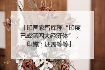 印国家智库称“印度已成第四大经济体”，印媒：还需等等