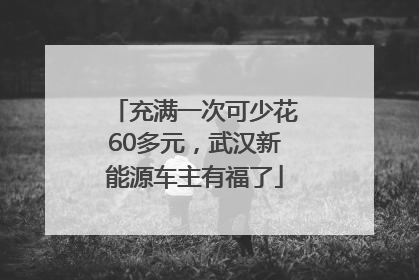 充满一次可少花60多元，武汉新能源车主有福了