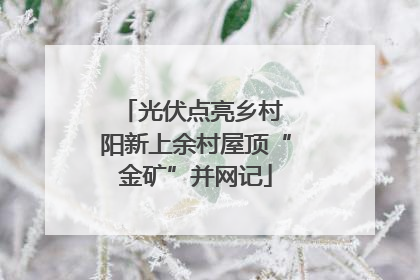 光伏点亮乡村 阳新上余村屋顶“金矿”并网记