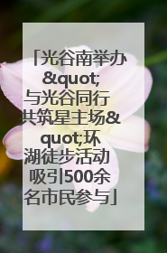 光谷南举办"与光谷同行 共筑星主场"环湖徒步活动 吸引500余名市民参与