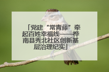 党建“常青藤”牵起百姓幸福线——桦南县秀北社区创新基层治理纪实
