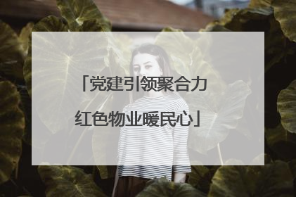 党建引领聚合力 红色物业暖民心