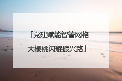 党建赋能智管网格 大樱桃闪耀振兴路