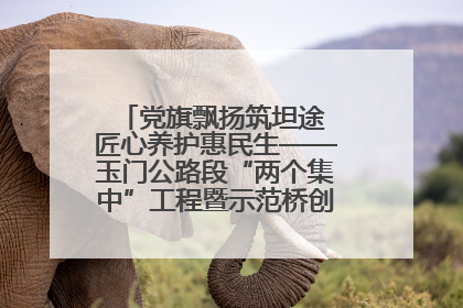 党旗飘扬筑坦途 匠心养护惠民生——玉门公路段“两个集中”工程暨示范桥创建项目圆满收官