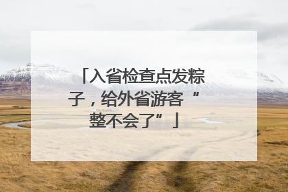 入省检查点发粽子，给外省游客“整不会了”