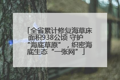 全省累计修复海草床面积938公顷 守护“海底草原”，织密海底生态“一张网”
