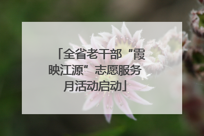 全省老干部“霞映江源”志愿服务月活动启动