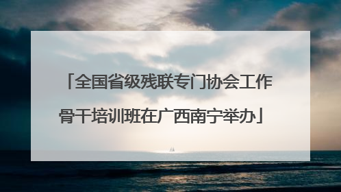 全国省级残联专门协会工作骨干培训班在广西南宁举办