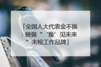 全国人大代表金不换：做强“‘豫’见未来”未检工作品牌