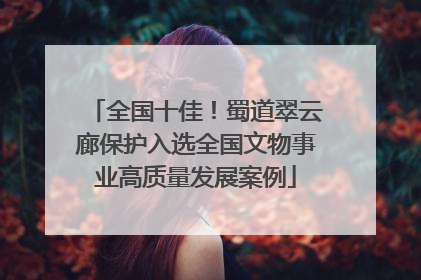 全国十佳！蜀道翠云廊保护入选全国文物事业高质量发展案例