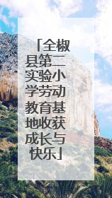 全椒县第二实验小学劳动教育基地收获成长与快乐