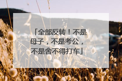 全部反转！不是母子，不是考公，不是舍不得打车
