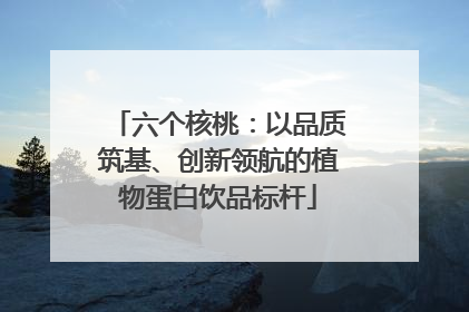 六个核桃：以品质筑基、创新领航的植物蛋白饮品标杆