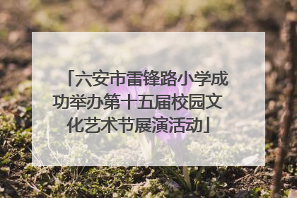 六安市雷锋路小学成功举办第十五届校园文化艺术节展演活动