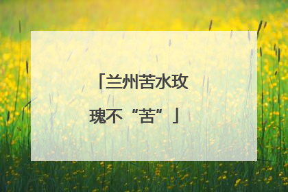 兰州苦水玫瑰不“苦”
