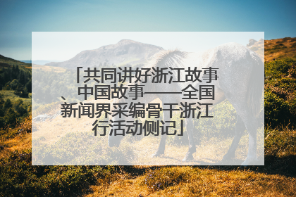 共同讲好浙江故事、中国故事——全国新闻界采编骨干浙江行活动侧记