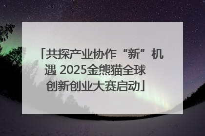 共探产业协作“新”机遇 2025金熊猫全球创新创业大赛启动
