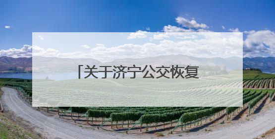 关于济宁公交恢复317路、501路原线路运营的通告