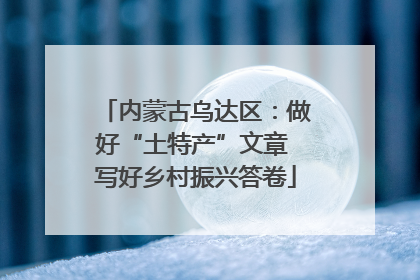 内蒙古乌达区：做好“土特产”文章 写好乡村振兴答卷