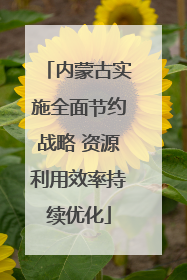 内蒙古实施全面节约战略 资源利用效率持续优化