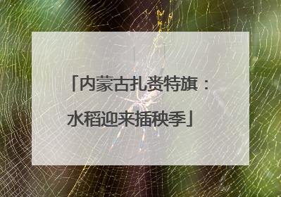 内蒙古扎赉特旗：水稻迎来插秧季