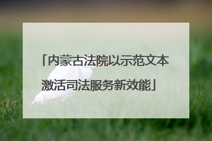 内蒙古法院以示范文本激活司法服务新效能