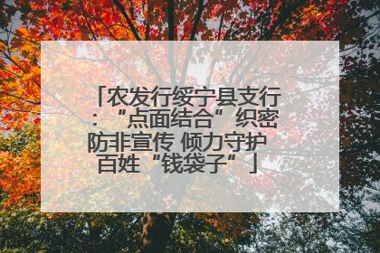 农发行绥宁县支行：“点面结合”织密防非宣传 倾力守护百姓“钱袋子”