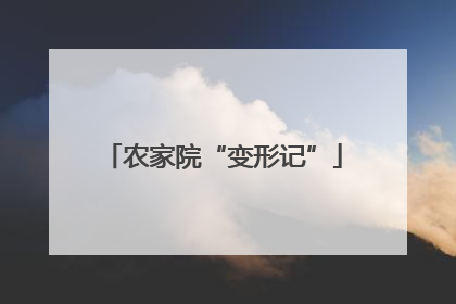 农家院“变形记”