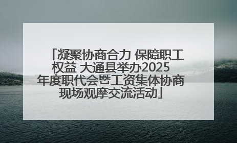 凝聚协商合力 保障职工权益 大通县举办2025年度职代会暨工资集体协商现场观摩交流活动