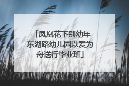 凤凰花下别幼年 东湖路幼儿园以爱为舟送行毕业班