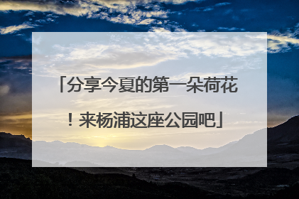 分享今夏的第一朵荷花！来杨浦这座公园吧