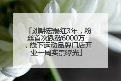 刘畊宏爆红3年，粉丝首次跌破6000万，线下运动品牌门店开业一周实景曝光