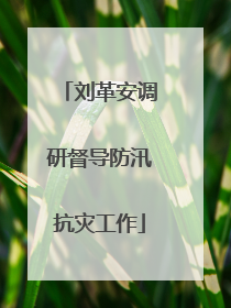 刘革安调研督导防汛抗灾工作