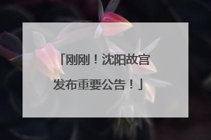 刚刚！沈阳故宫发布重要公告！