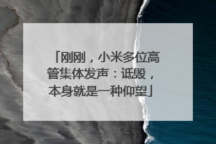 刚刚，小米多位高管集体发声：诋毁，本身就是一种仰望