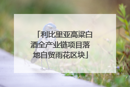 利比里亚高粱白酒全产业链项目落地自贸雨花区块