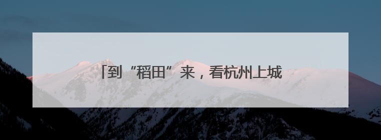 到“稻田”来，看杭州上城20年来“光阴的故事”