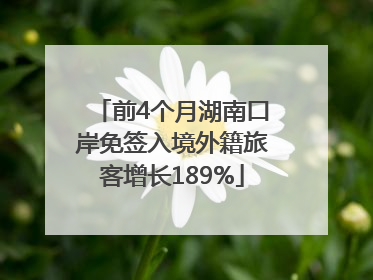 前4个月湖南口岸免签入境外籍旅客增长189%