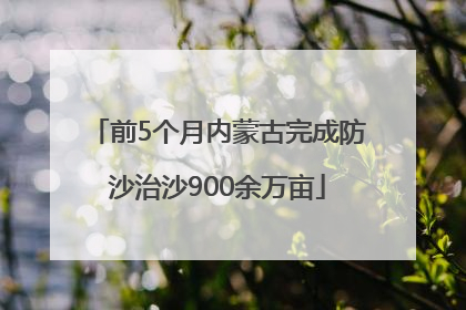 前5个月内蒙古完成防沙治沙900余万亩