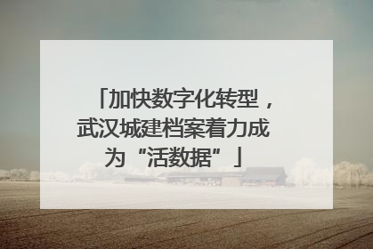 加快数字化转型，武汉城建档案着力成为“活数据”
