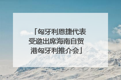 匈牙利恩捷代表受邀出席海南自贸港匈牙利推介会