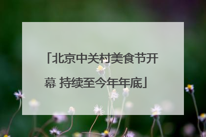 北京中关村美食节开幕 持续至今年年底