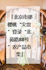 北京市郊樱桃“尖货”登录“北苑路88号”农产品市集