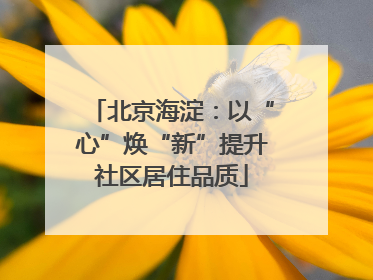 北京海淀：以“心”焕“新”提升社区居住品质