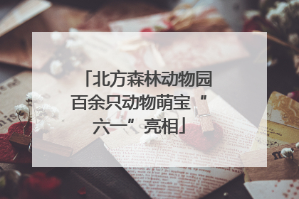 北方森林动物园百余只动物萌宝“六一”亮相