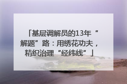 基层调解员的13年“解题”路：用绣花功夫，精织治理“经纬线”