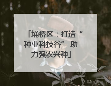 埇桥区：打造“种业科技谷” 助力强农兴种