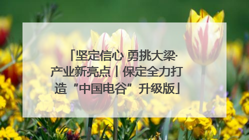 坚定信心 勇挑大梁·产业新亮点丨保定全力打造“中国电谷”升级版